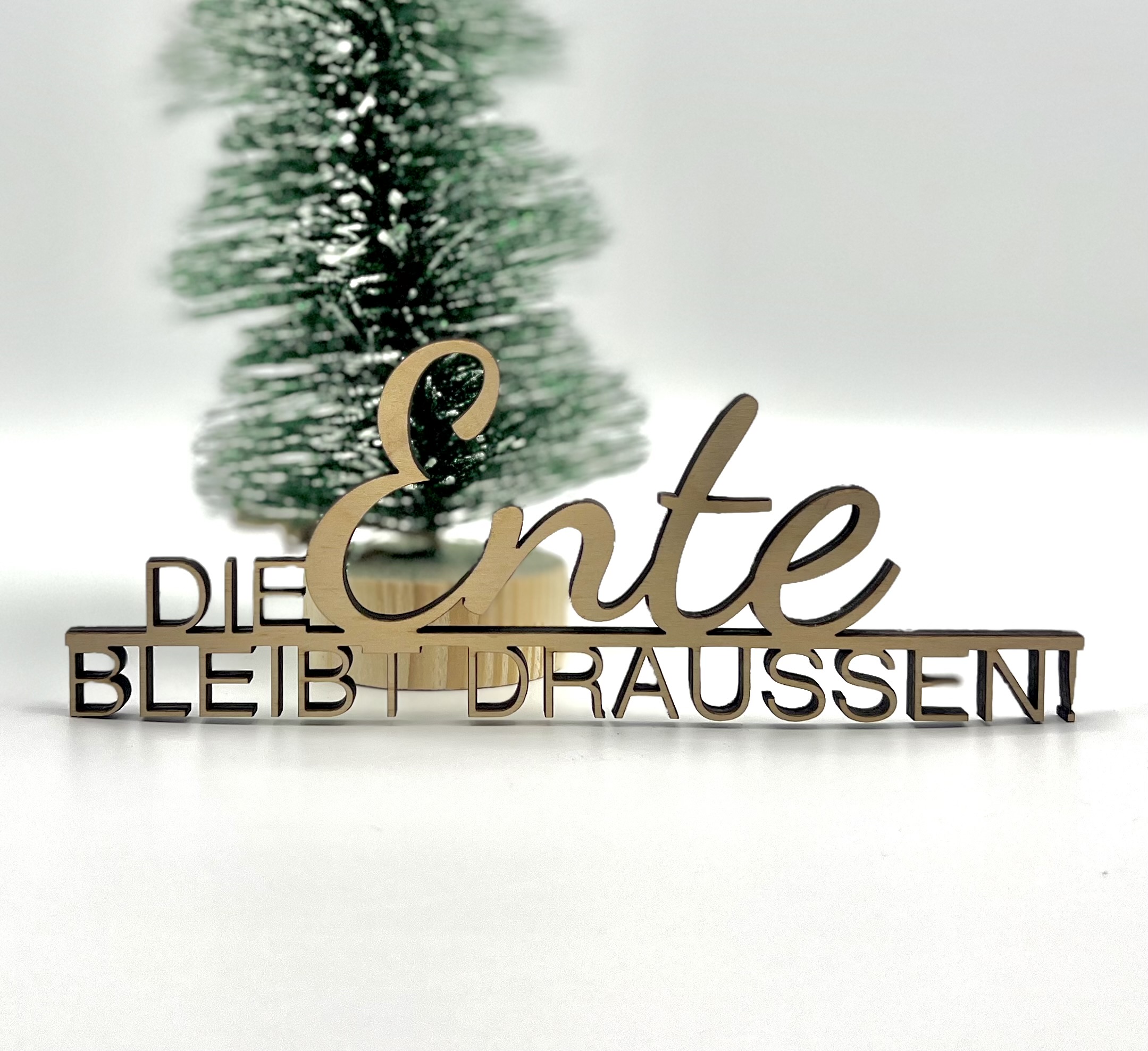 Schriftzug "Die Ente bleibt draussen"