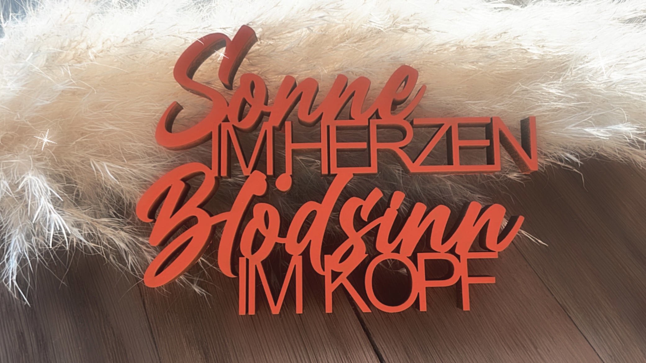 Schriftzug Sonne im Herzen Blödsinn im Kopf