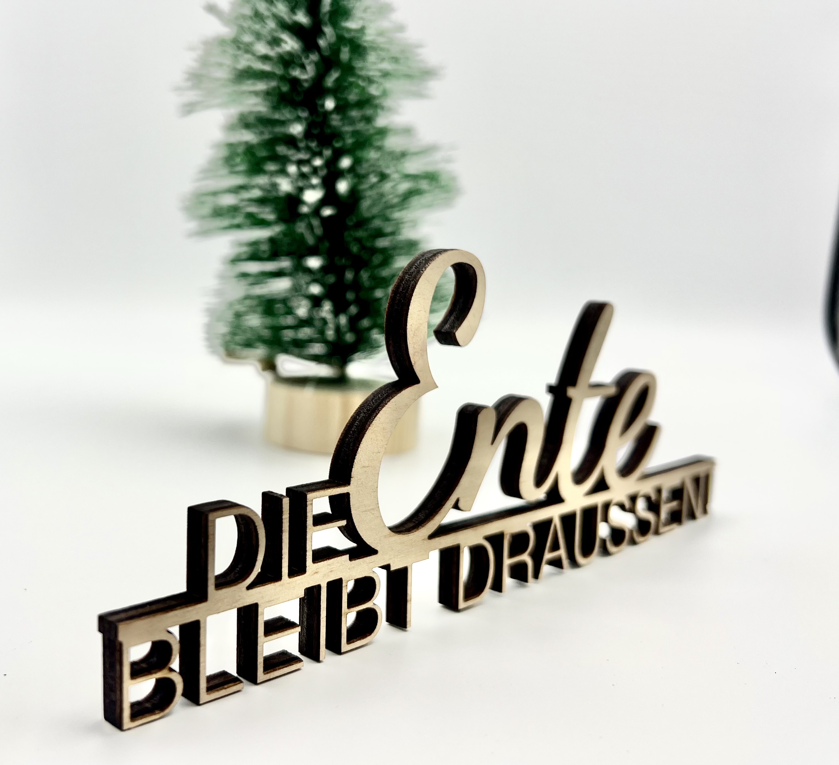 Schriftzug "Die Ente bleibt draussen"