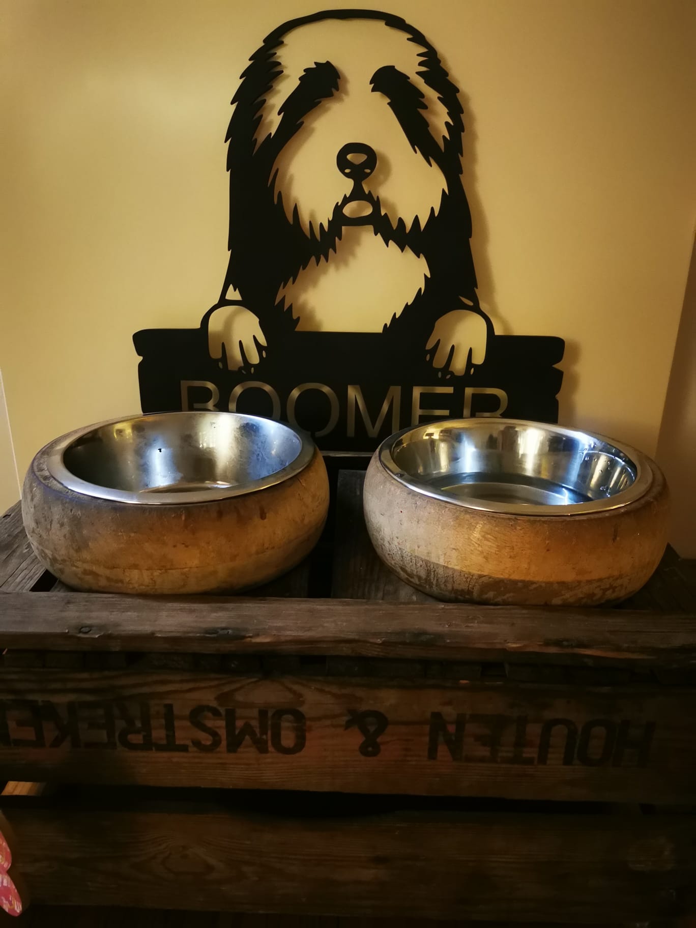 Hundeschild B Collie 