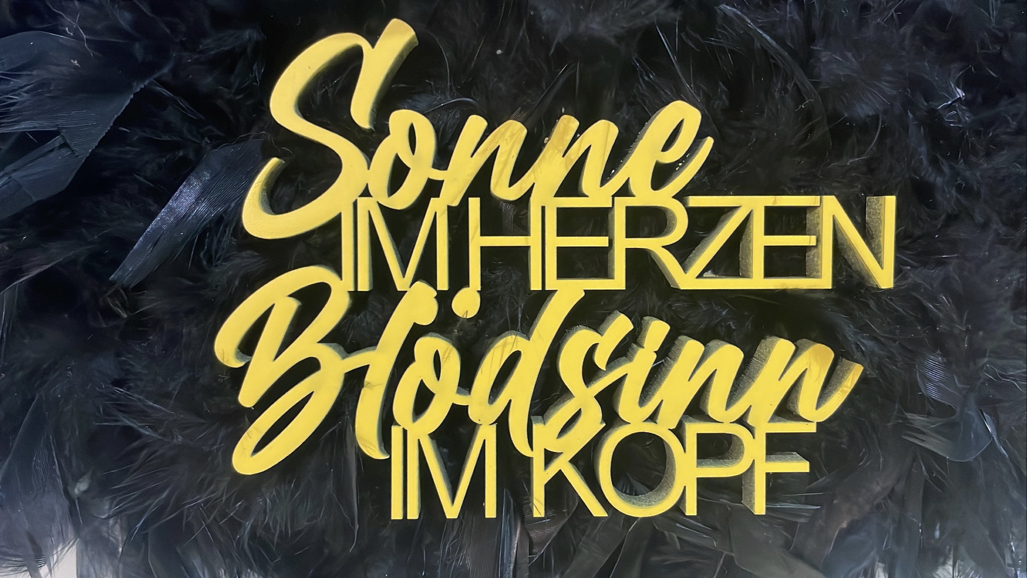 Schriftzug Sonne im Herzen Blödsinn im Kopf